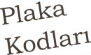 plaka kodları