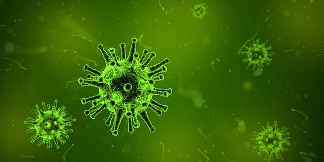 Enfeksiyon hastalıkları bölümü hangi hastalıklara bakar?